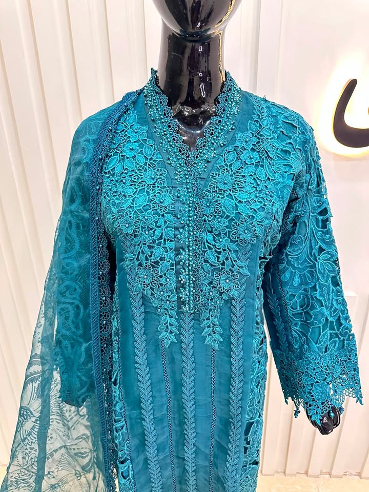 Naqshe Chiffon Catalog B20