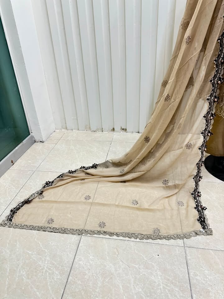Naqshe Chiffon Catalog B23