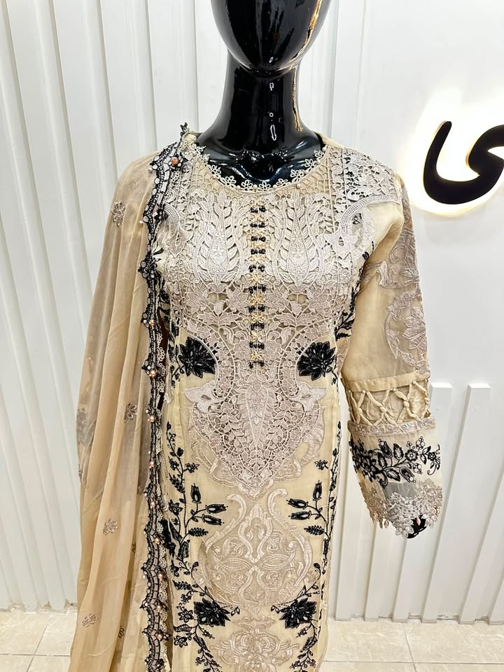 Naqshe Chiffon Catalog B23