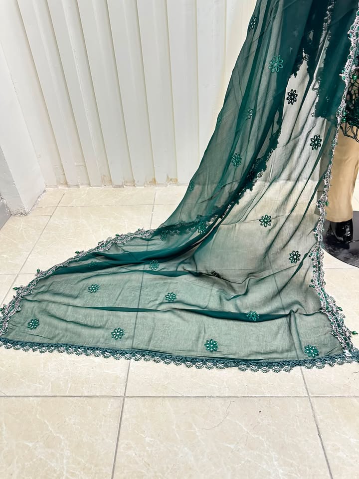 Naqshe Chiffon Catalog B24