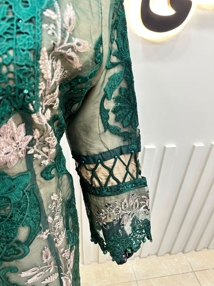 Naqshe Chiffon Catalog B24