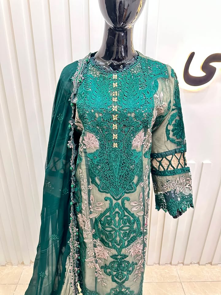Naqshe Chiffon Catalog B24