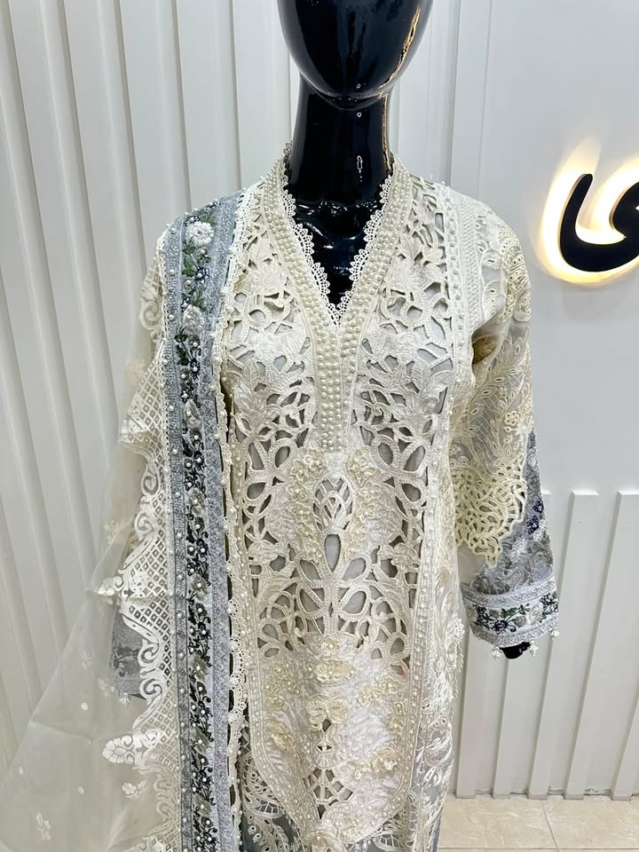 Naqshe Chiffon Catalog B29