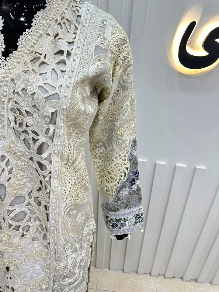 Naqshe Chiffon Catalog B29