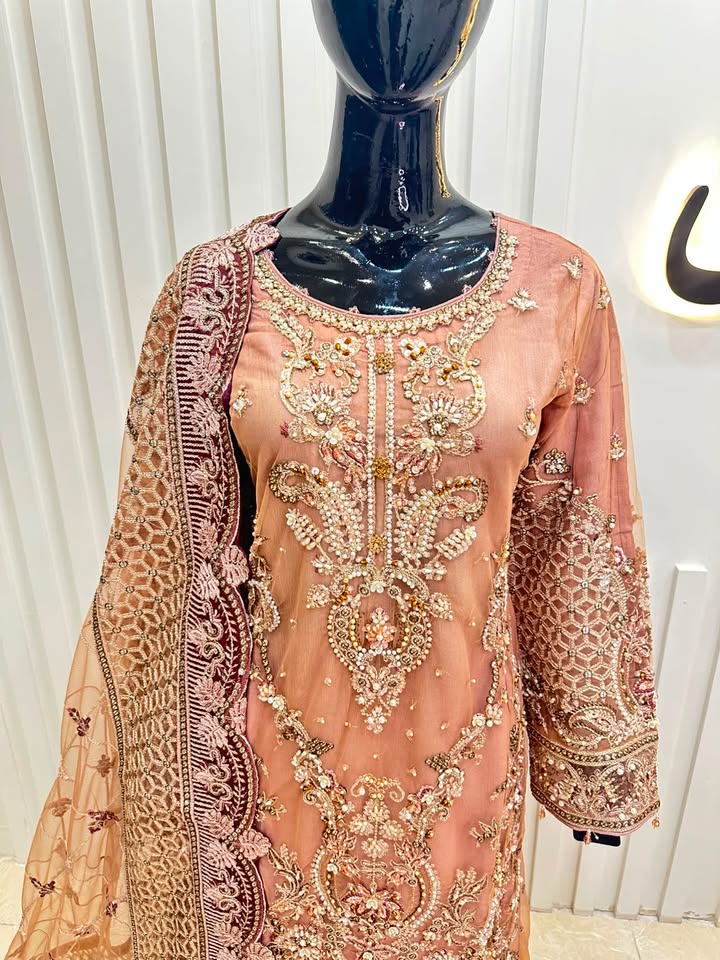 Naqshe Chiffon Catalog B36