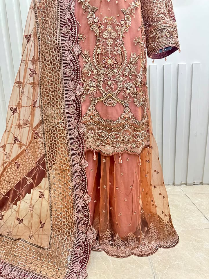 Naqshe Chiffon Catalog B36