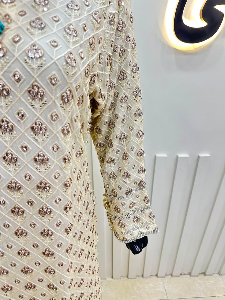 Naqshe Chiffon Catalog B38