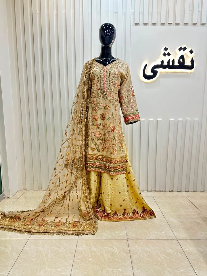 Naqshe Chiffon Catalog B41