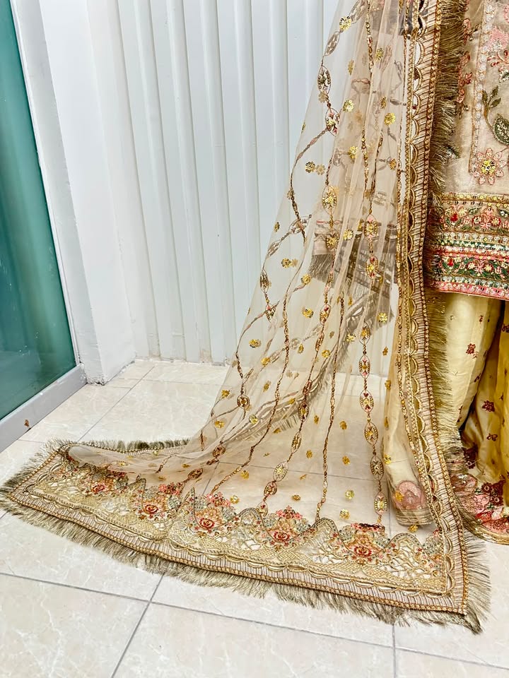 Naqshe Chiffon Catalog B41