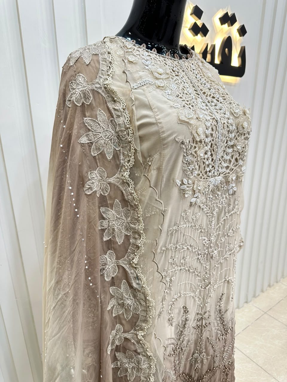 Naqshe Chiffon Catalog B01