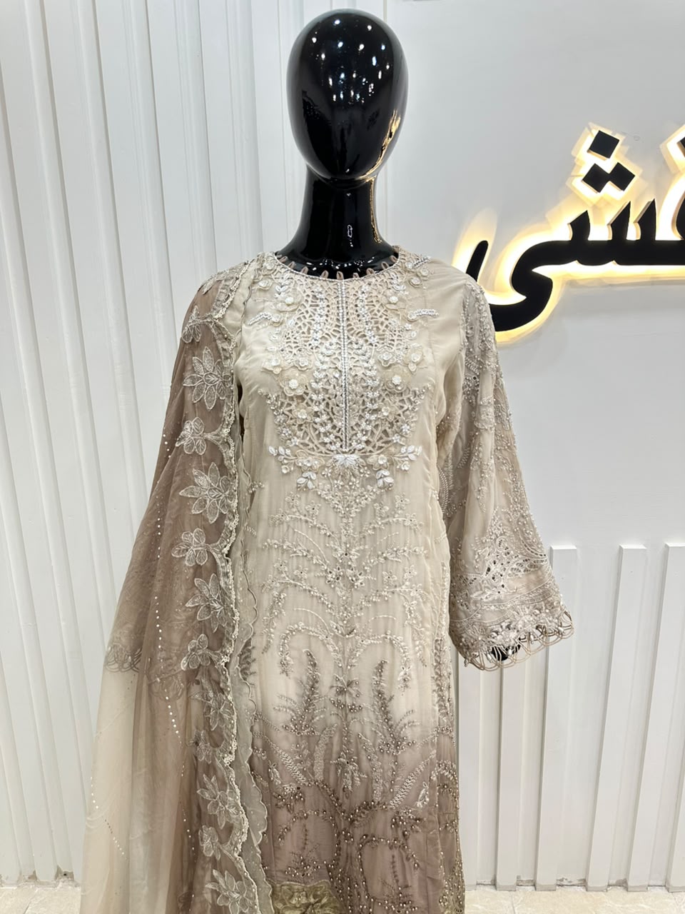Naqshe Chiffon Catalog B01